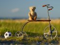 Alter Teddybär auf einem antiken Dreirad und einem daneben liegenden Fußball.