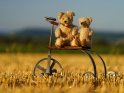 Alte Teddybären auf einem antiken Dreirad