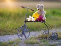 Alter Teddybär mit Lilienblüten auf einem antiken Dreirad