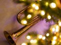 Trompete unterm Weihnachtsbaum